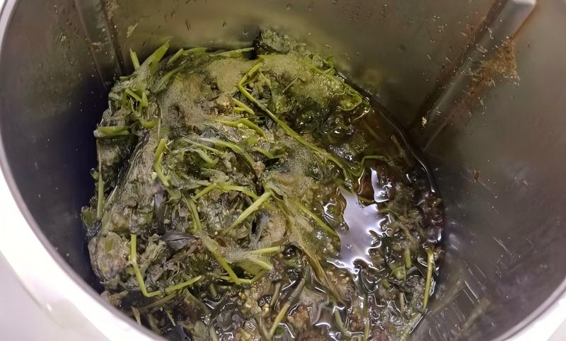 Shuke Grass