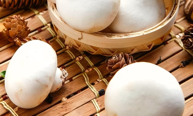 Mushroom-Storage-Tips
