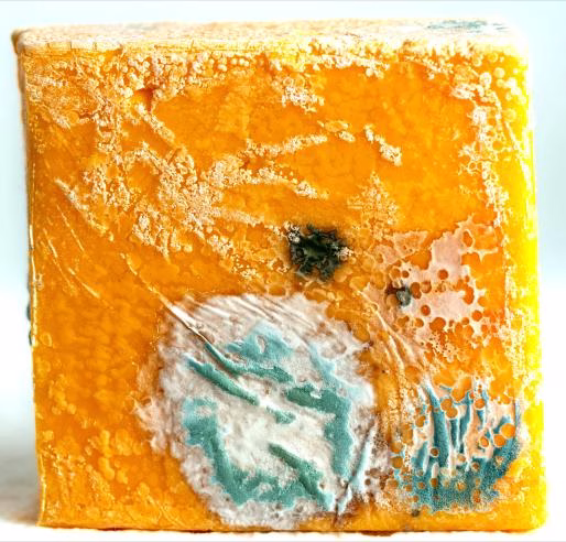 Can I still eat moldy food after cutting it off?