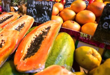 Can stewed green papaya help enlarge breasts