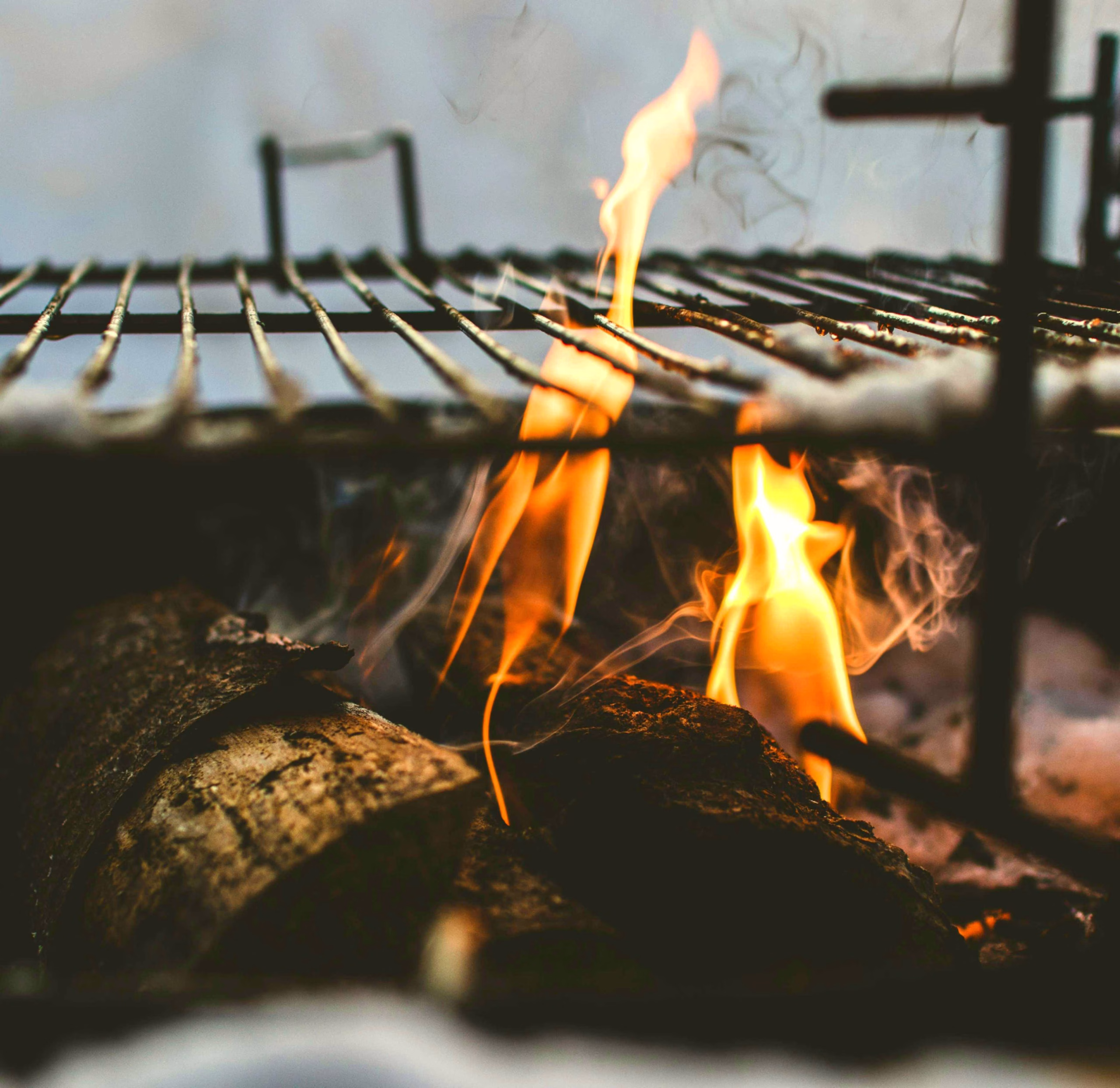 How to choose and cook barbecue ingredients