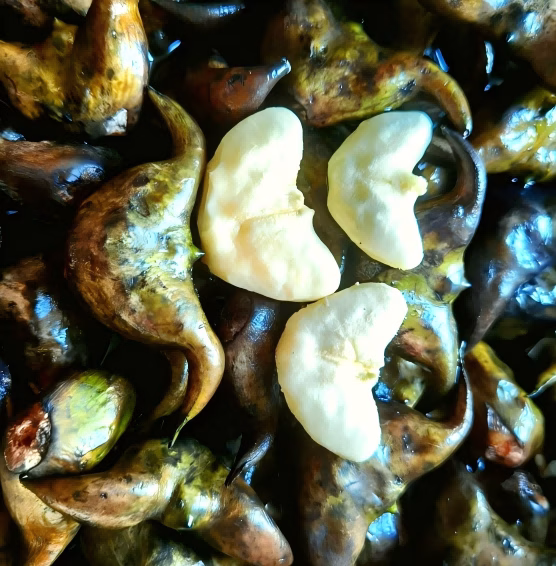 How to choose water chestnuts
