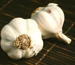 How to keep garlic freshest