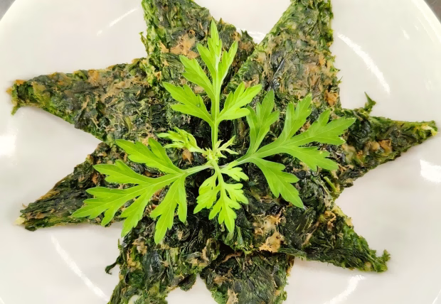 What is Mugwort? Mugwort Benefits & Recipe