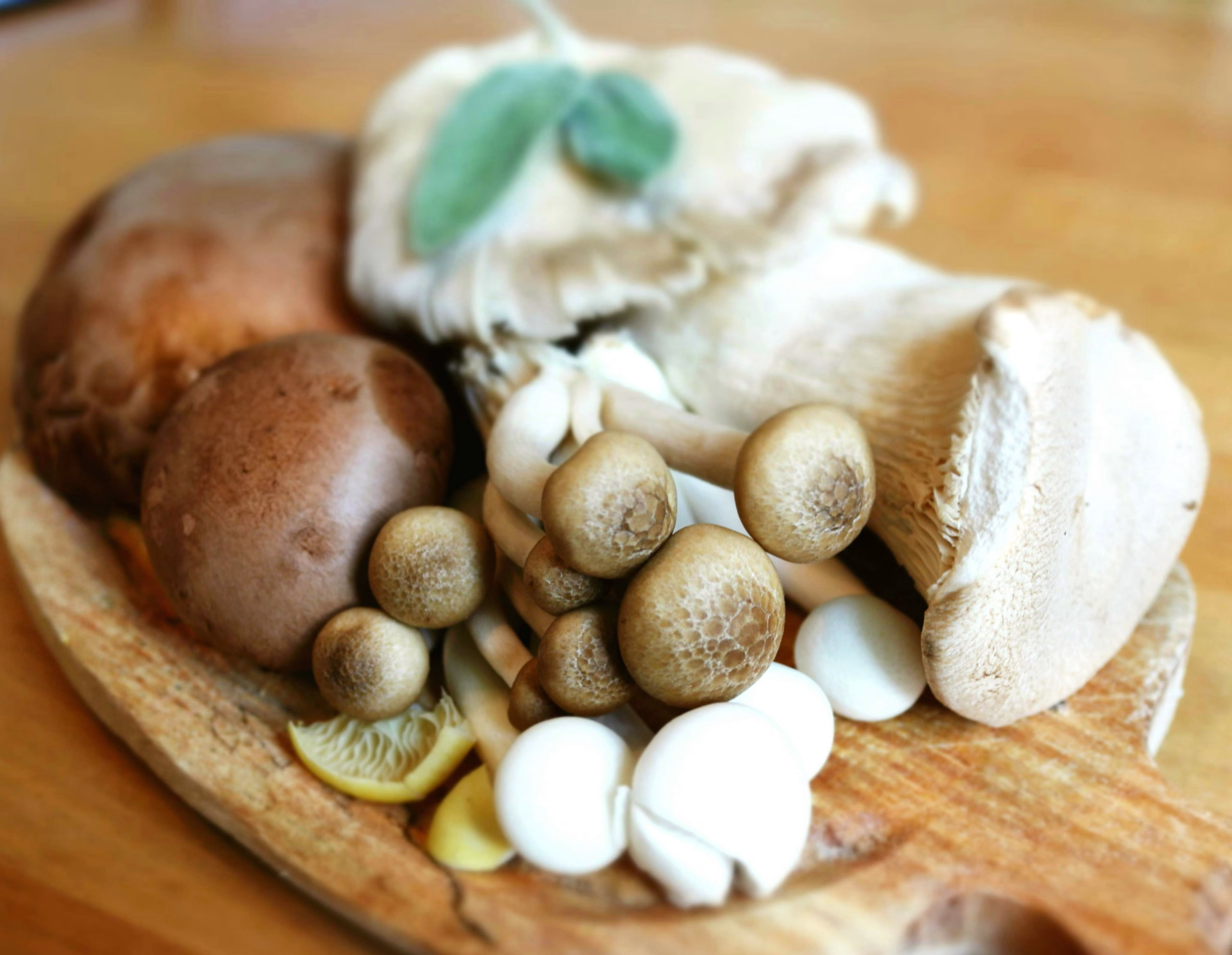 The Correct Way to Soak Dried Shiitake Mushrooms
